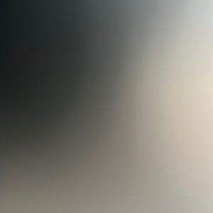 Meet your Posher, Payton